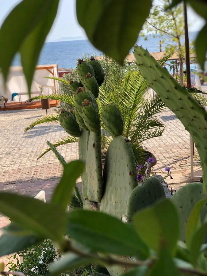 Hotel Jon Dhërmi Eksteriør billede